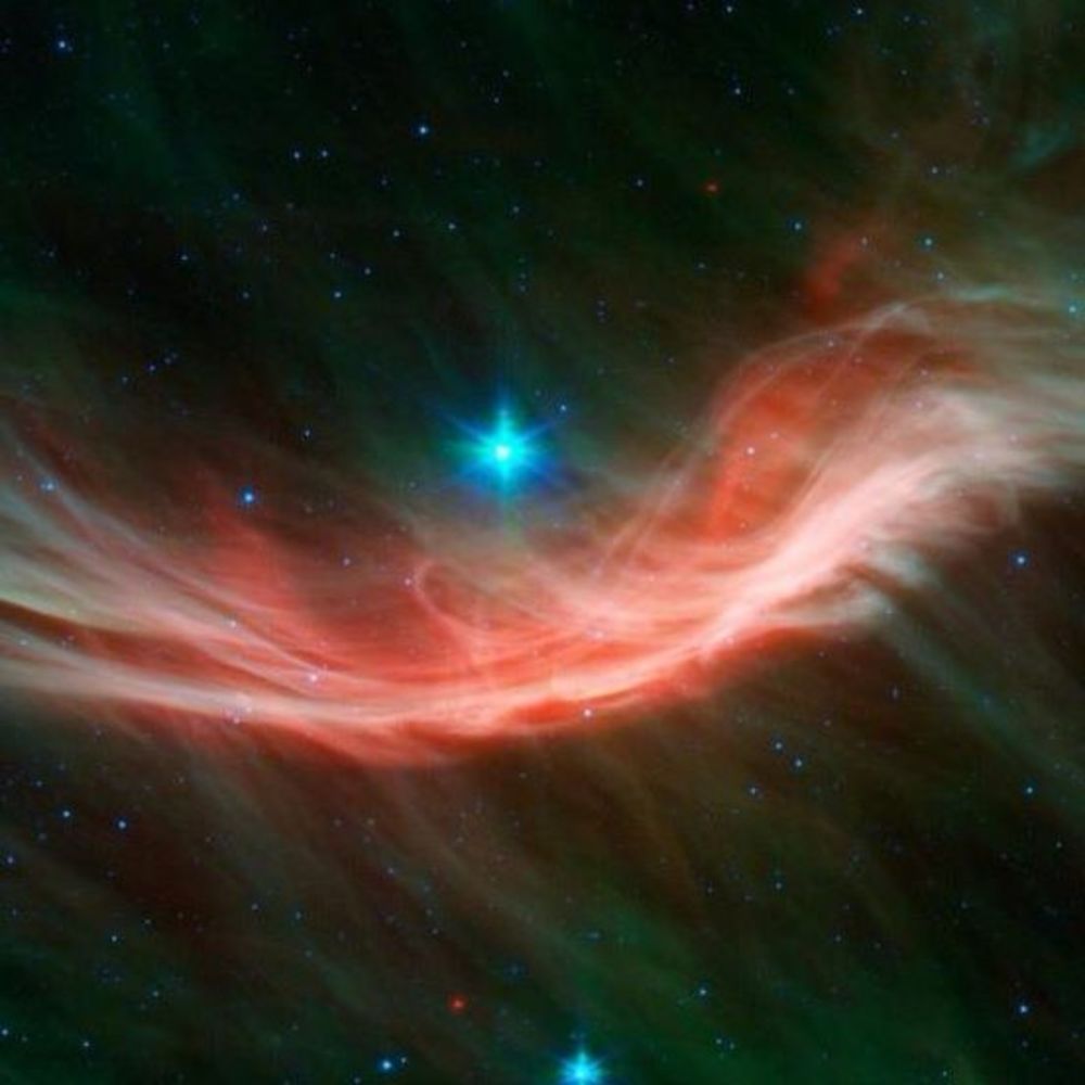 Meet your Posher, Regina